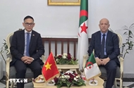 Vietnam treasures ties with Algeria: Ambassador