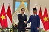 Vietnam, Indonesia chart new strategic cooperation agenda