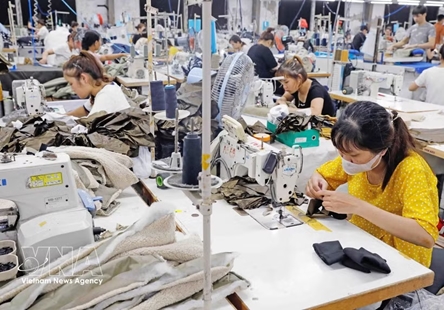 GDP expands 8.18%, with new growth drivers taking shape