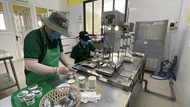 1,000-pioneering-firms program aims to elevate Vietnam’s private sector