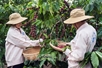 Efforts stepped up to bring Vietnamese products into supply chains in Argentina