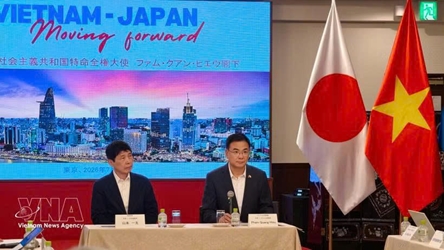 Vietnam, Japan promote cooperation in digital transformation