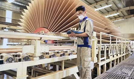 Measures sought to address bottlenecks in sustainable wood material development