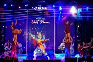 Creating Vietnamese cultural identity, sovereignty in digital space