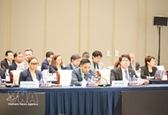 Vietnam ready to work with APEC economies to advance sustainable forest management