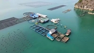 Vietnam advances integrated marine governance to unlock blue economy potential