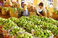 Trade drives growth momentum for Vietnam