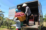 Exporters urged to adapt as E.U. tightens food safety rules