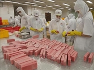 Vietnamese businesses advised to rethink strategies to expand market share in U.S.