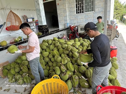 Viet Nam, India seek to expand agricultural trade