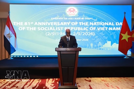 Egypt confirms granting visa on arrival for Vietnamese citizens