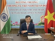 Viet Nam sees opportunities to deepen engagement with BRICS: Trade Counsellor