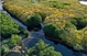 Hue city taps green resources to promote sustainable tourism