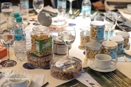 Viet Nam targets Argentina to boost cashew exports