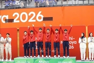 ASIAD 20 prompts Viet Nam to sharpen focus on key sports