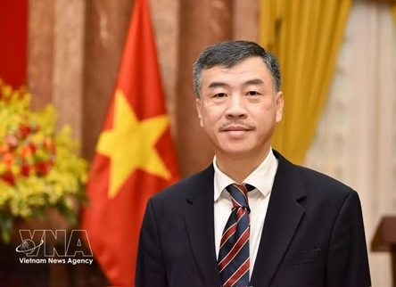Great solidarity festival to strengthen cohesion among Vietnamese communities in Europe: ambassador