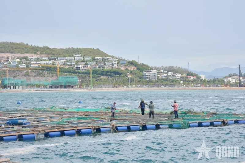 Peaceful life in Tri Nguyen fishing village
