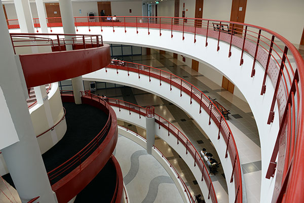 ảnh slide