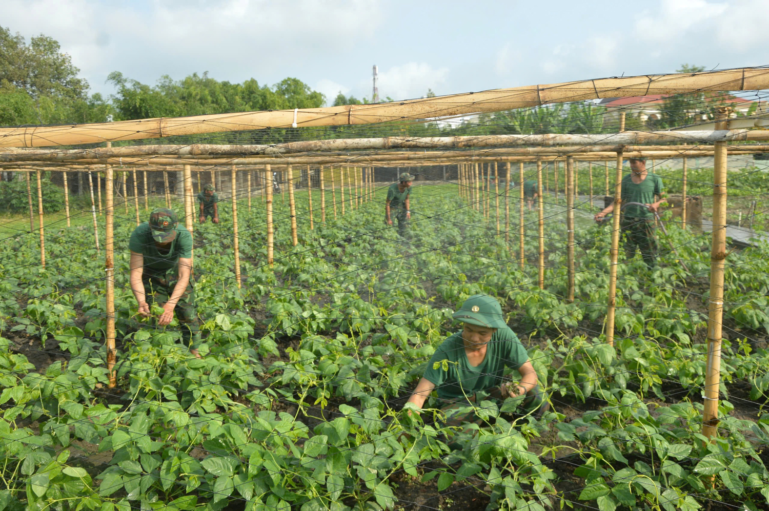 Lữ đoàn Thông tin 29: Học tập Bác tinh thần phát huy nội lực, thực hành tiết kiệm