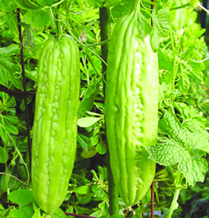 Một số loại thực phẩm giúp tránh bệnh tiểu đường