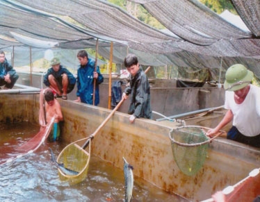 Chuyện nuôi Cá hồi của bộ đội biên phòng Lai Châu
