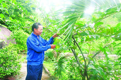 Biến rừng hoang thành nơi hái ra tiền