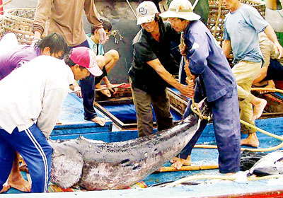 Vietnam set to be largest seafood exporter in the world