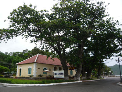 I - Nhạc sĩ và địa ngục