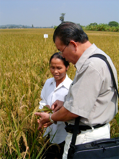 Giáo sư tuổi thất thập xuống đồng