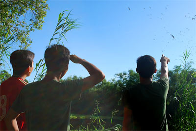 Doanh trại “lành”… chim đậu