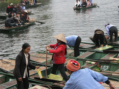 Những bông hoa trong sương gió đời thường