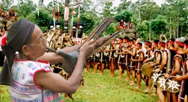 Ngày vui không dứt