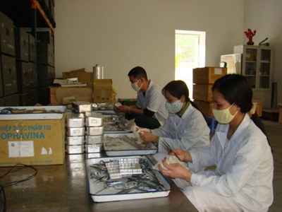 Kỹ thuật viên bảo quản vật tư y tế