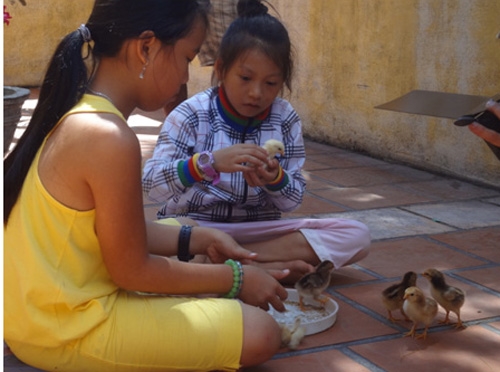 Ngoài giờ học, các em nhỏ Trường Sa rất nâng niu, chăm sóc những