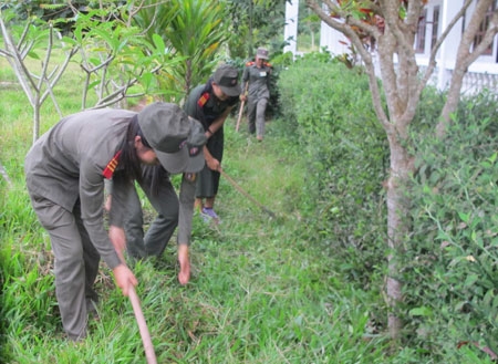 ...họ phát quang cây cỏ...