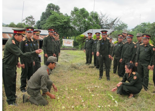 Lấy những cánh hoa Chăm Pa xếp thành hình 65 năm...