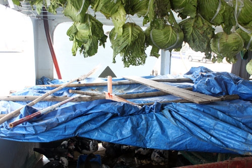 ...Trong đó có cả thức ăn tươi sống như gà, vịt.