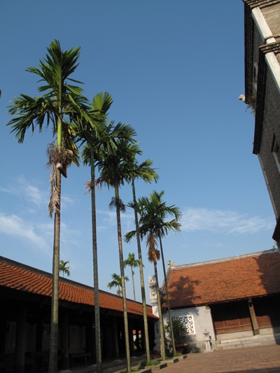 Những thân cau cao vút gợi nét thanh bình trong ngôi chùa Việt cổ.