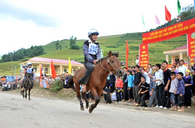 Đua ngựa đầy kịch tính