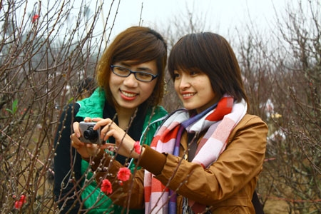 Sắc màu ấy không chỉ có sức mê hoặc những