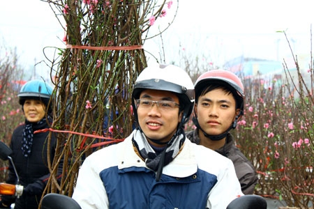 Sắc đào...