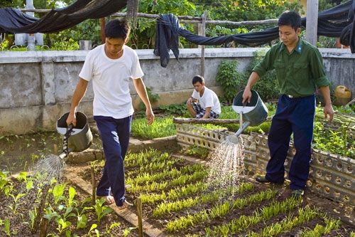 Tăng gia cải thiện đời sống ở đảo Trường Sa Lớn