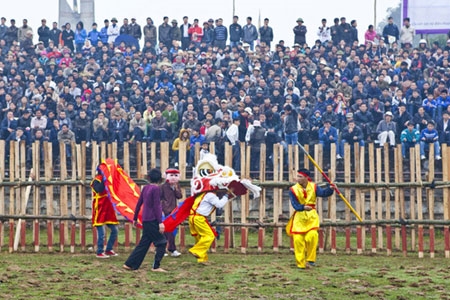 Múa lân chào mừng trong phần khai mạc lễ hội.