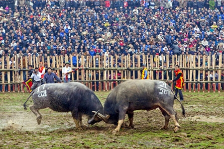 Những pha đấu quyết liệt giữa các “ông cầu”.