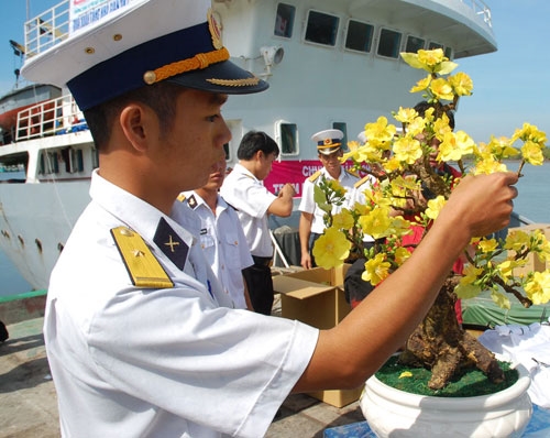 Chăm chút cho sắc mai thêm vàng trong Tết Nguyên đán.