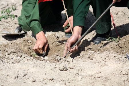 Mặc dù hiểm nguy luôn rình rập, ranh giới giữa cái sống và cái chết rất mong manh, song các chiến sĩ công binh vẫn cần mẫn, thận trọng trên từng mét đất...