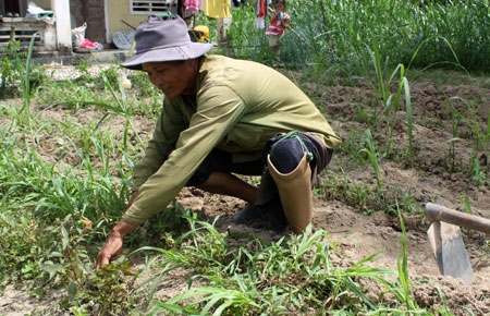 Được sự quan tâm, hỗ trợ của Nhà nước và chính quyền các địa phương, nhiều nạn nhân của bom, mìn, vật nổ đang nỗ lực vượt lên số phận. Đó là ông Nguyễn Tài, sinh năm 1946, ở xã Tịnh Phong (huyện Sơn Tịnh, Quảng Ngãi) vẫn ngày ngày miệt mài với ruộng vườn, nuôi các con ăn học...