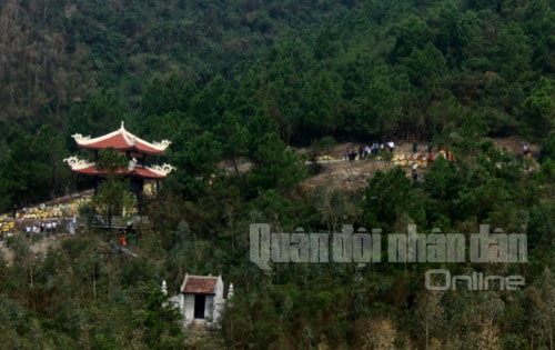 Những tán thông xanh rợp mát nơi Đại tướng an nghỉ vĩnh hằng.