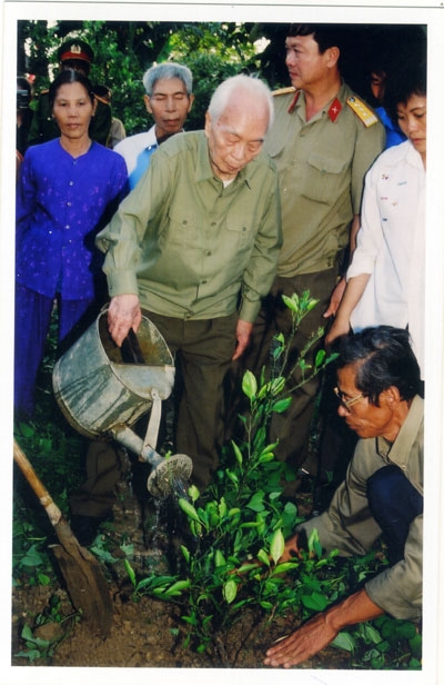 ...và trồng cây xanh.