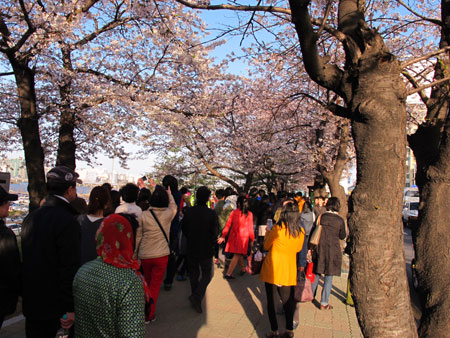 Hàn Quốc trong thời điểm căng thẳng trên Bán đảo Triều Tiên